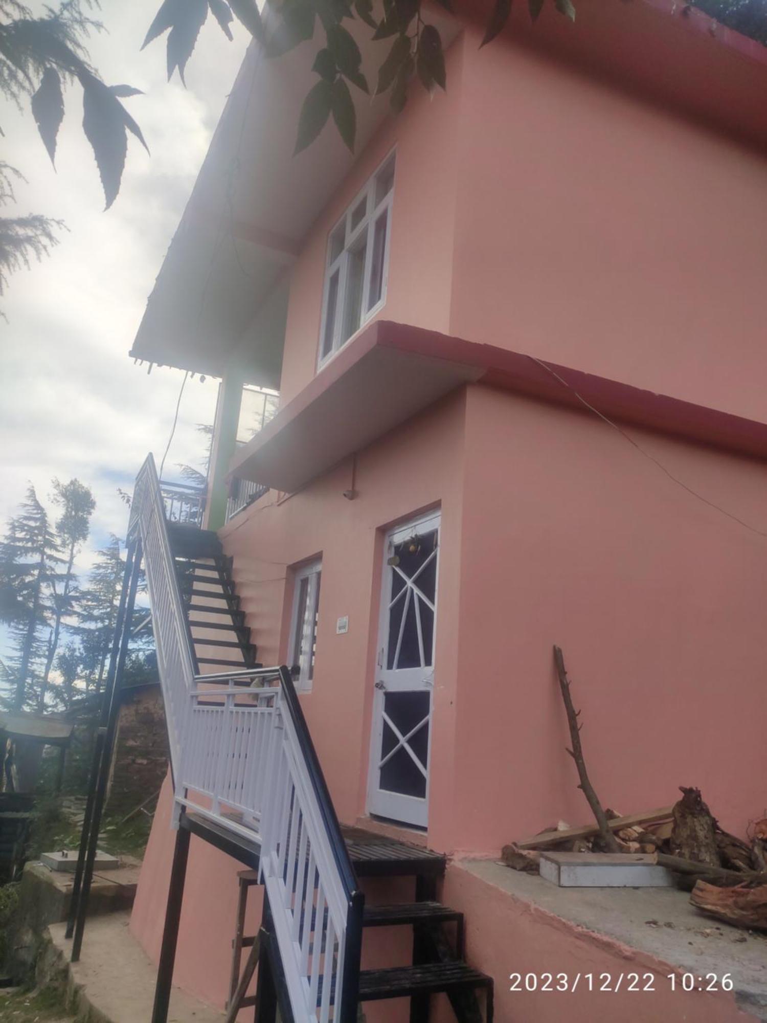 Tree Valley Homestay Chail Bagian luar foto