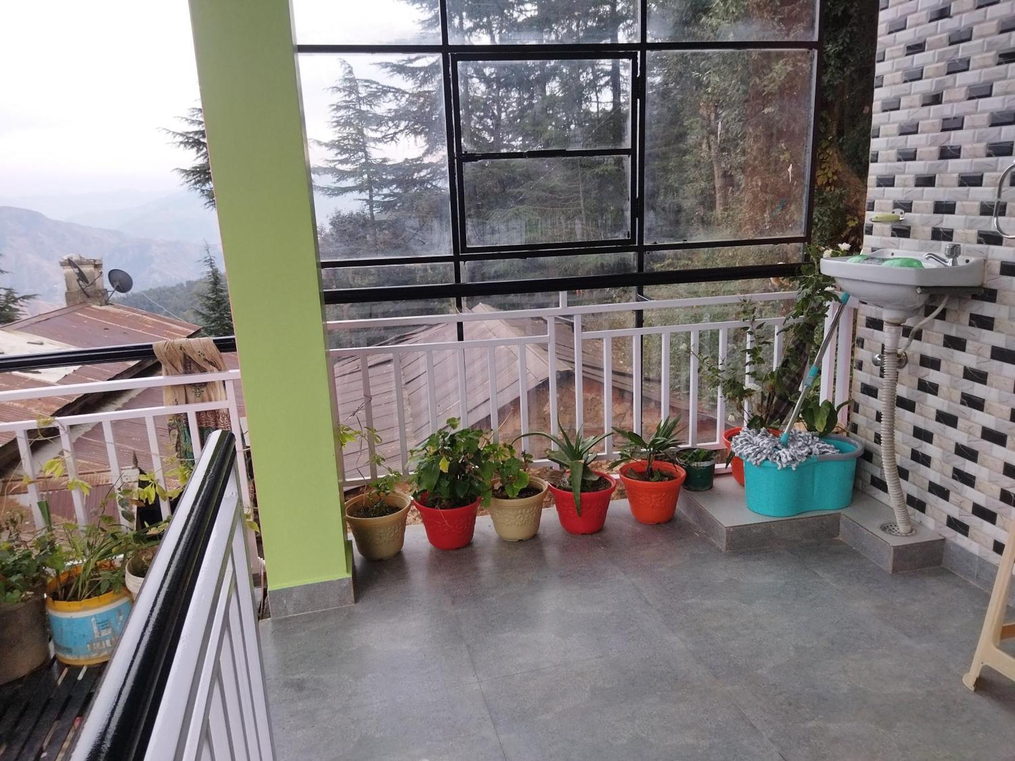 Tree Valley Homestay Chail Bagian luar foto