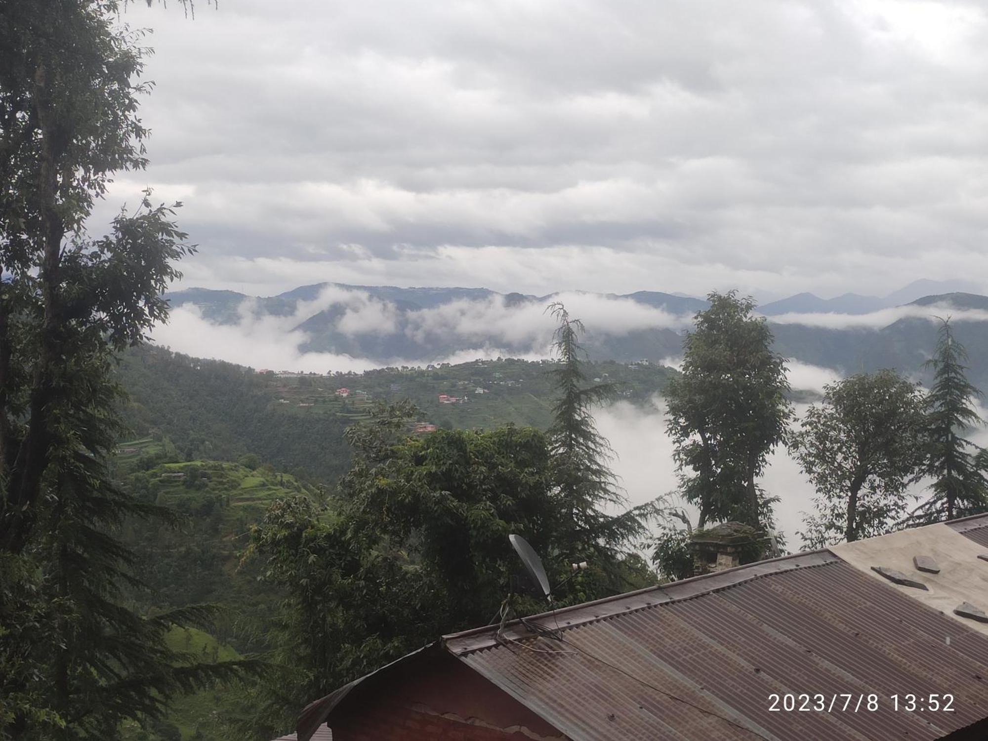 Tree Valley Homestay Chail Bagian luar foto