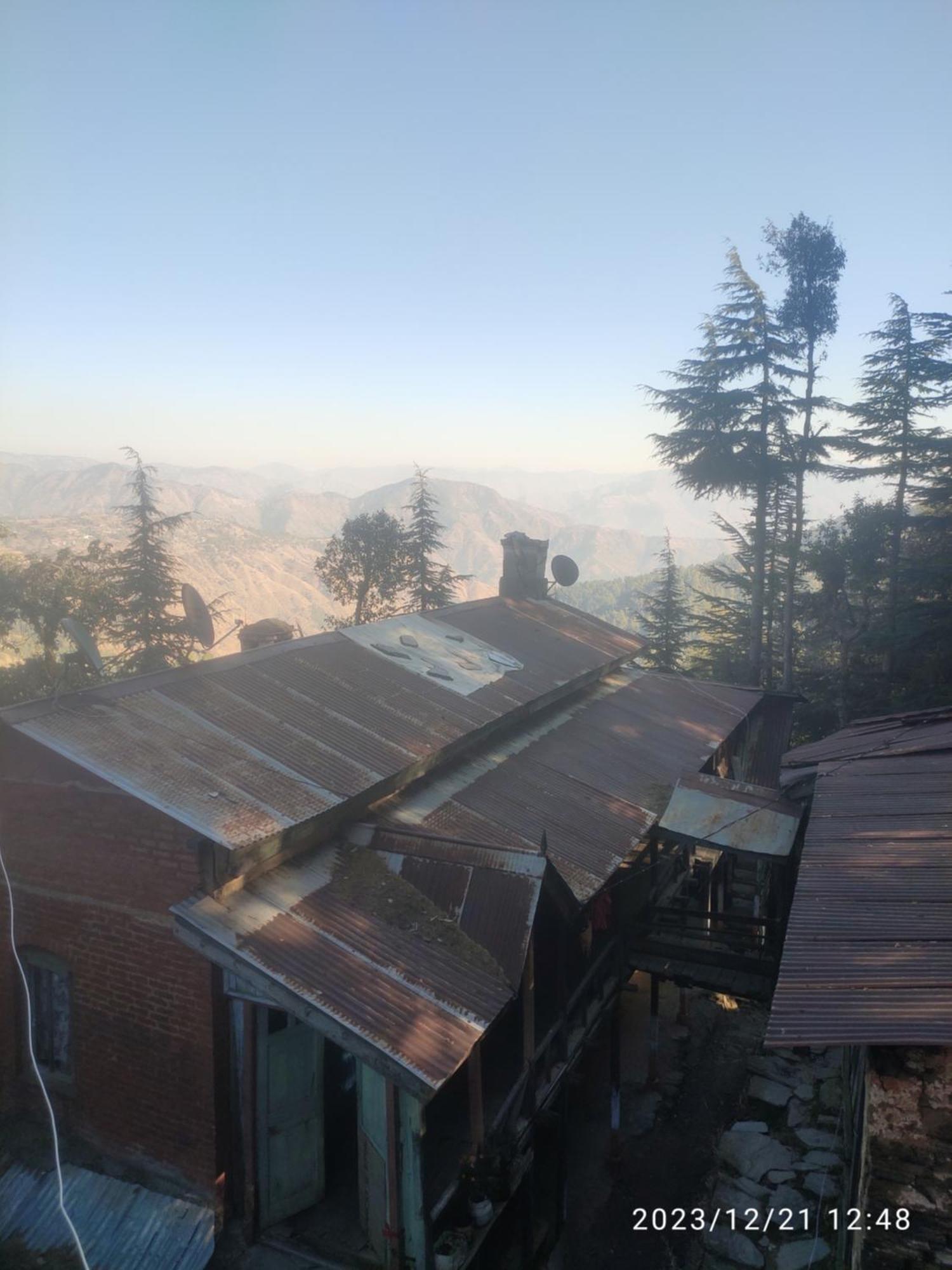 Tree Valley Homestay Chail Bagian luar foto