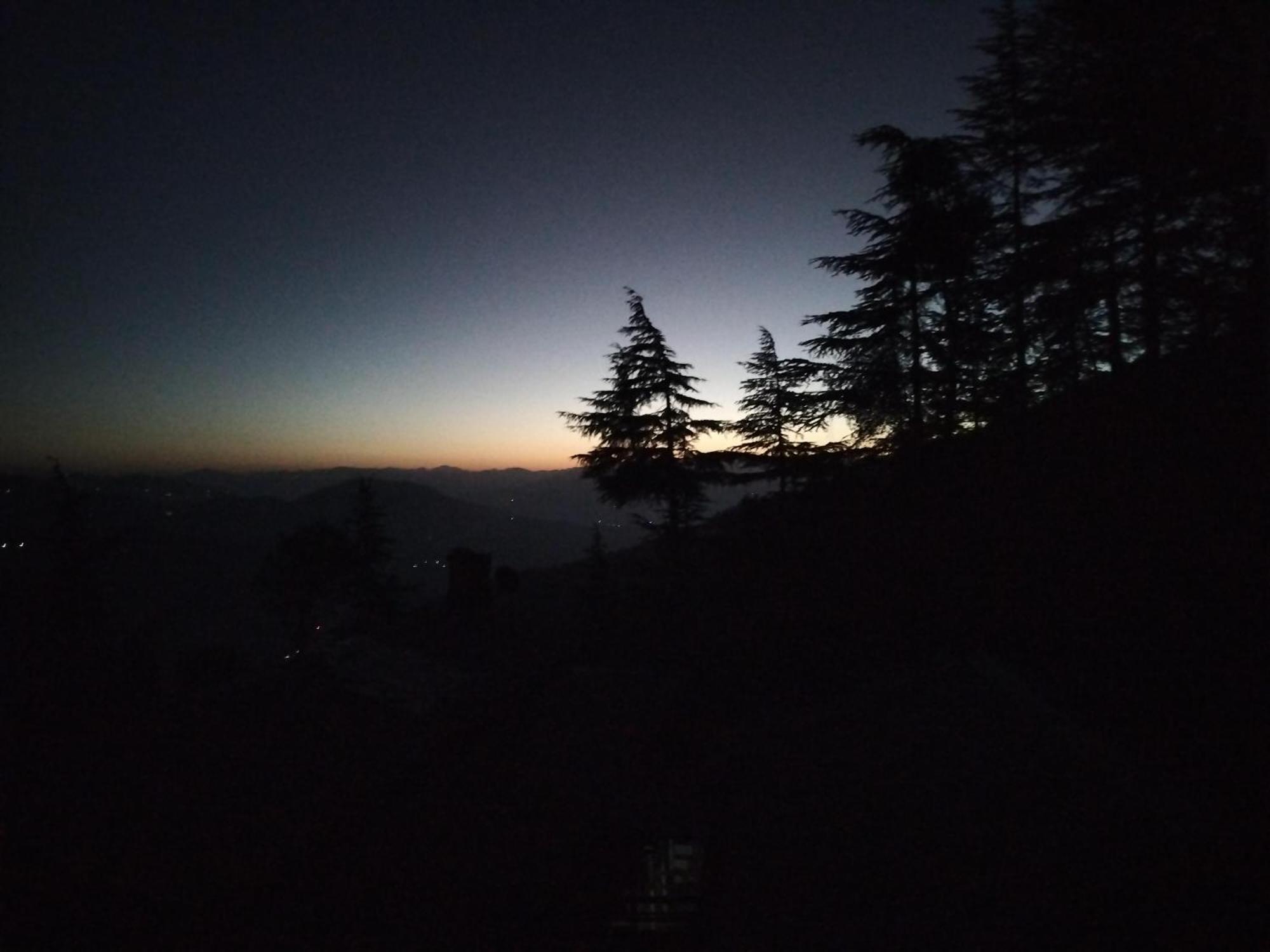 Tree Valley Homestay Chail Bagian luar foto