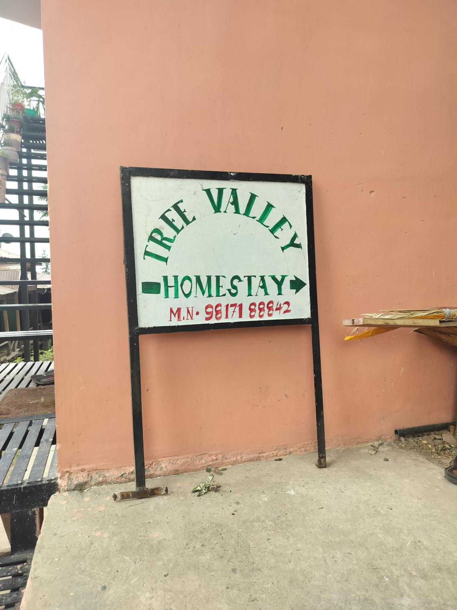 Tree Valley Homestay Chail Bagian luar foto