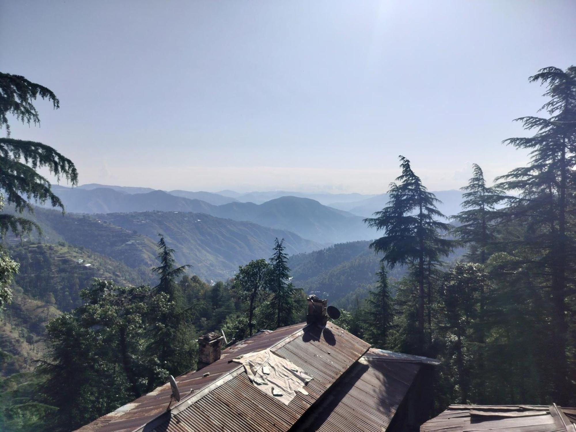 Tree Valley Homestay Chail Bagian luar foto