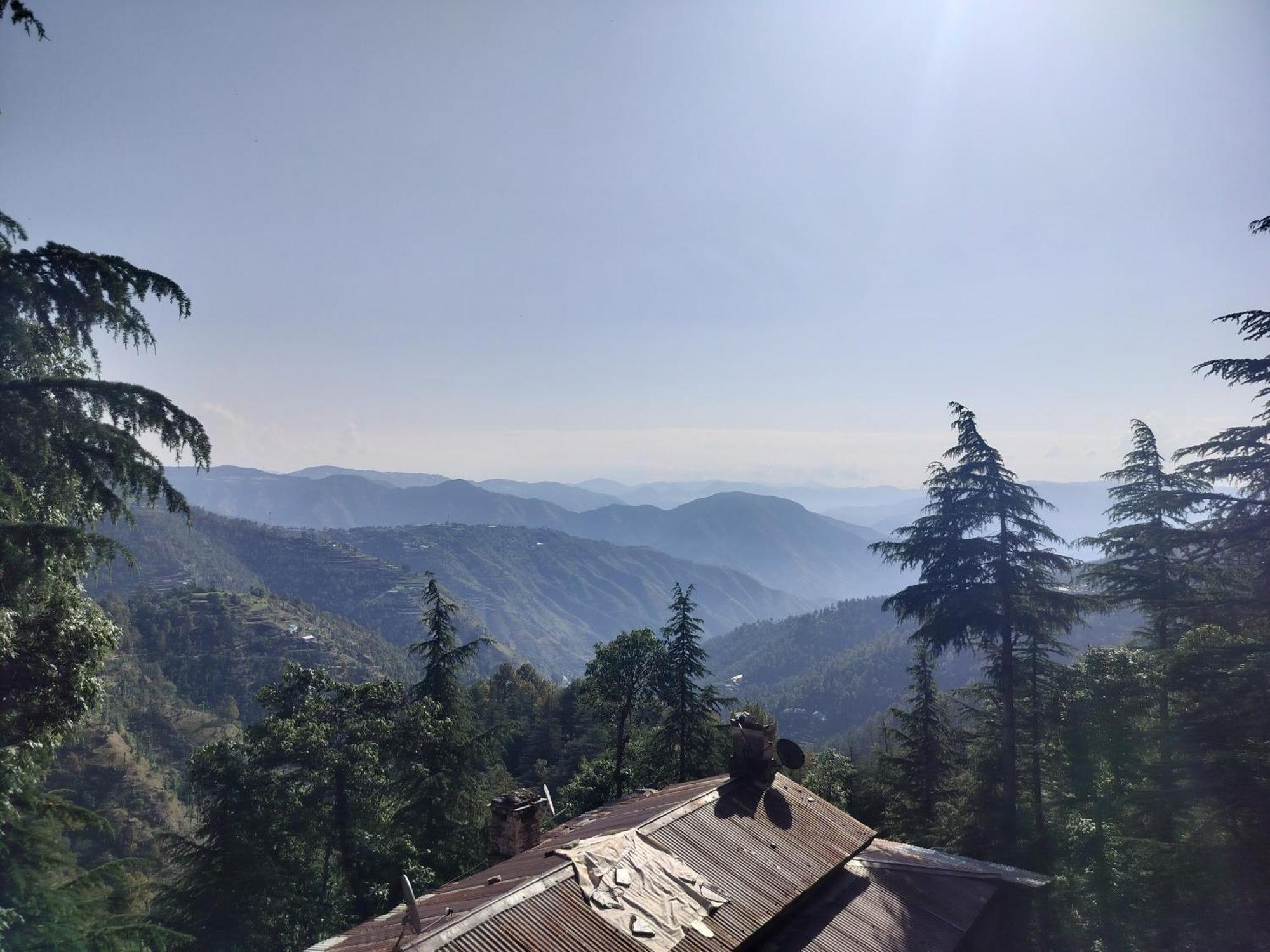 Tree Valley Homestay Chail Bagian luar foto