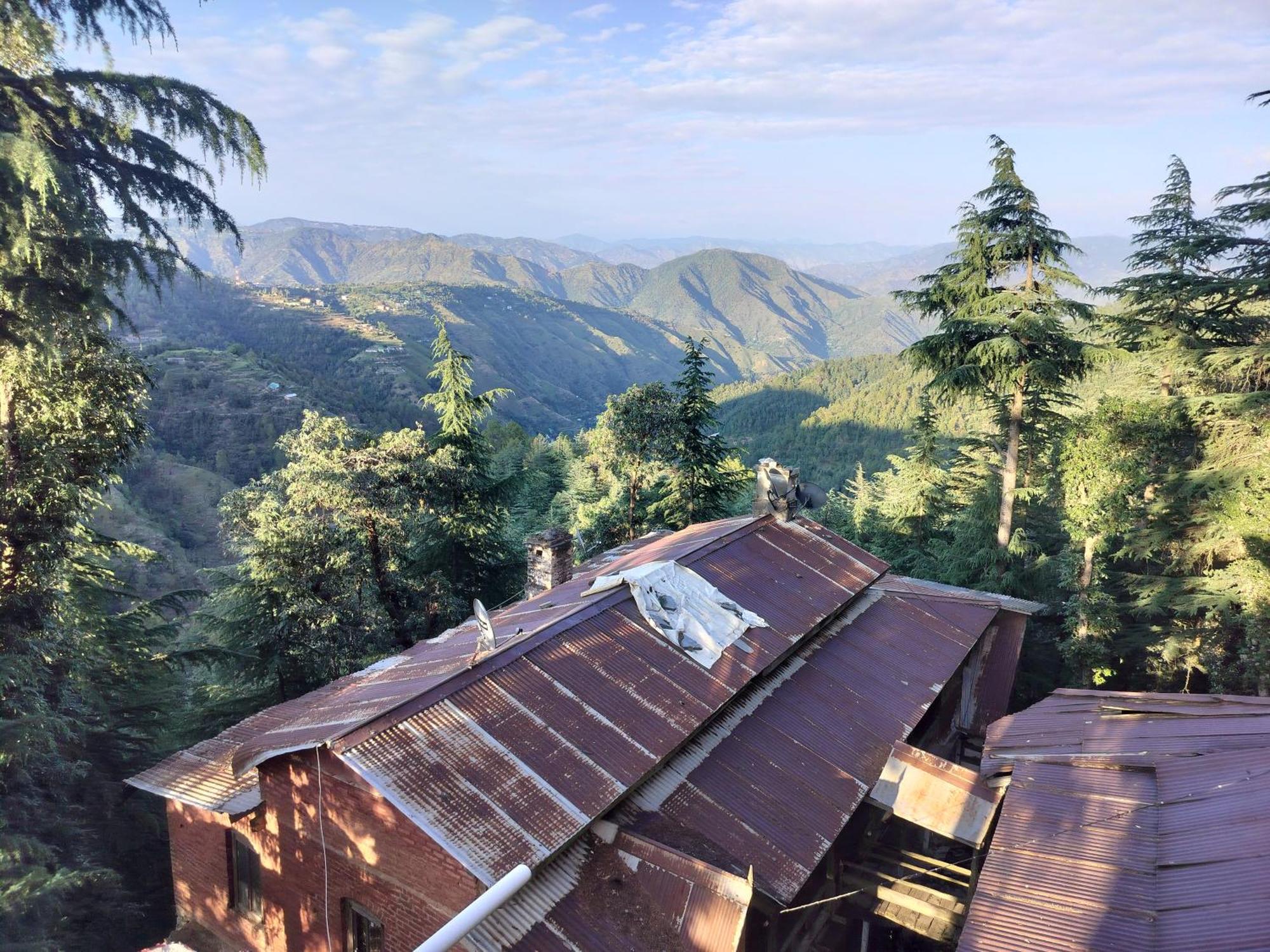 Tree Valley Homestay Chail Bagian luar foto