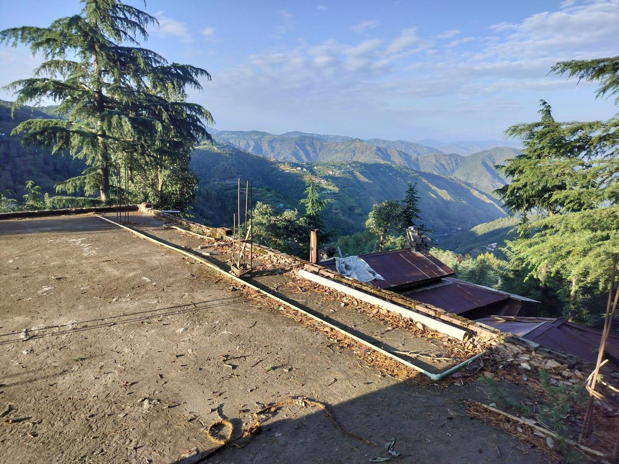 Tree Valley Homestay Chail Bagian luar foto