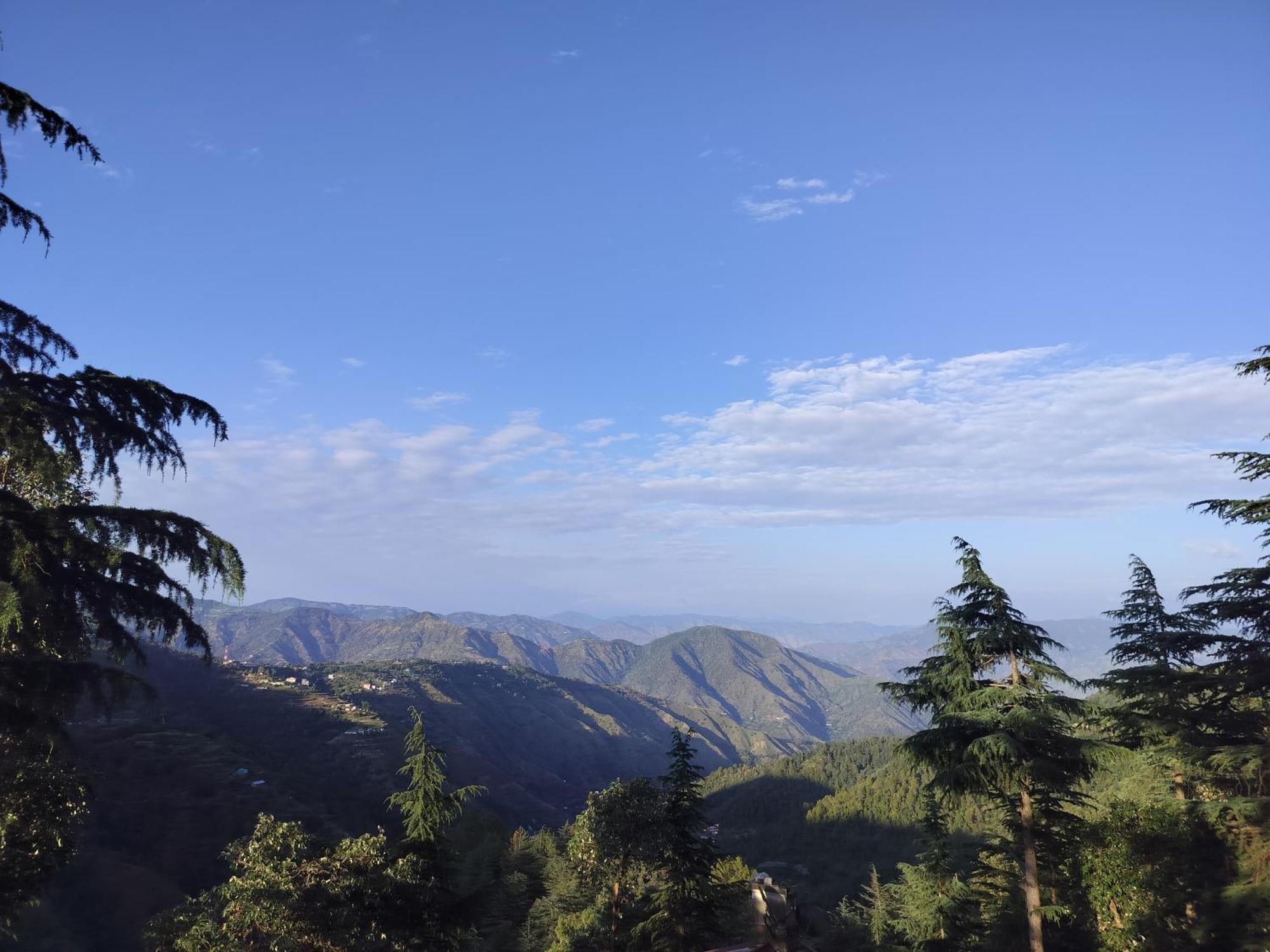 Tree Valley Homestay Chail Bagian luar foto