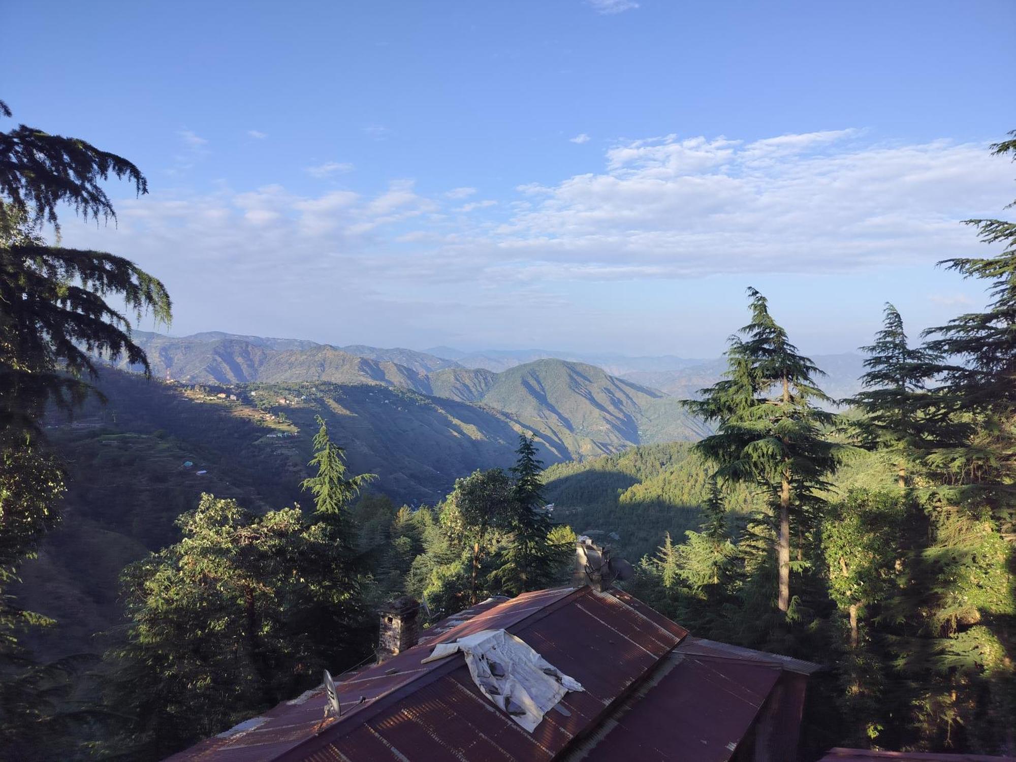 Tree Valley Homestay Chail Bagian luar foto