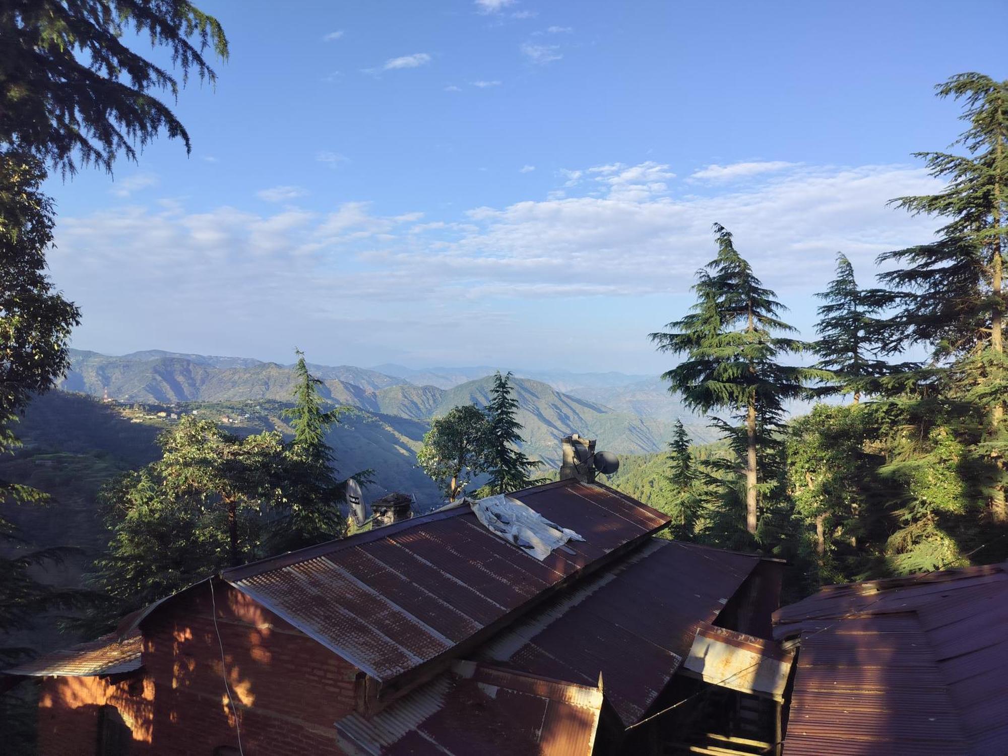 Tree Valley Homestay Chail Bagian luar foto